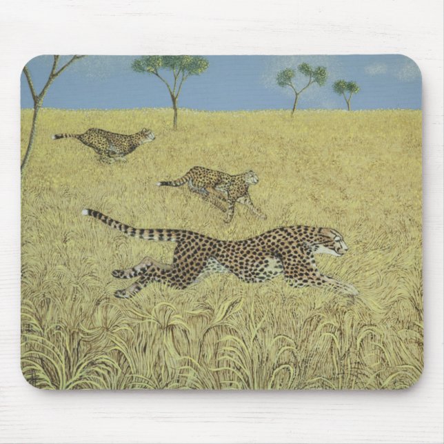 Mousepad Velocidade completa (Frente)