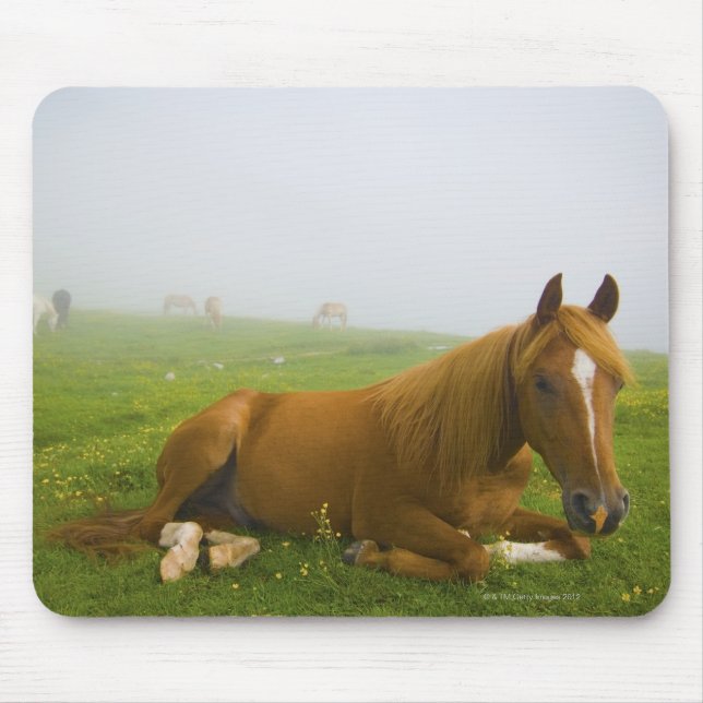 Mousepad veneto itália 2 (Frente)