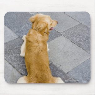 Mousepad Veneza, Italia