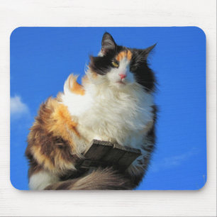 Mousepad Ventoso aqui em cima