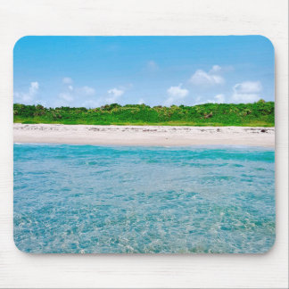 Mousepad Ver A Partir Do Bloco De Portáteis Do Sandbar