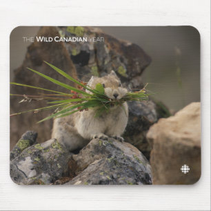 Mousepad Verão - América Latina