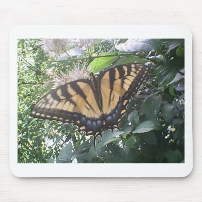 Mousepad Verão do Monarca Amarelo (Frente)