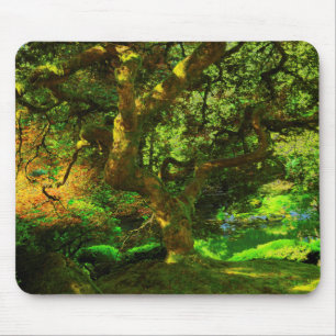 Mousepad Verão, Jardim Japonês de Portland, Portland