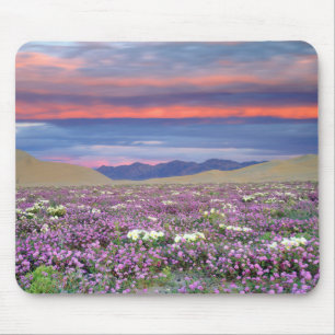 Mousepad Verbena-da-praia e Prímula-do-deserto Flores Silve