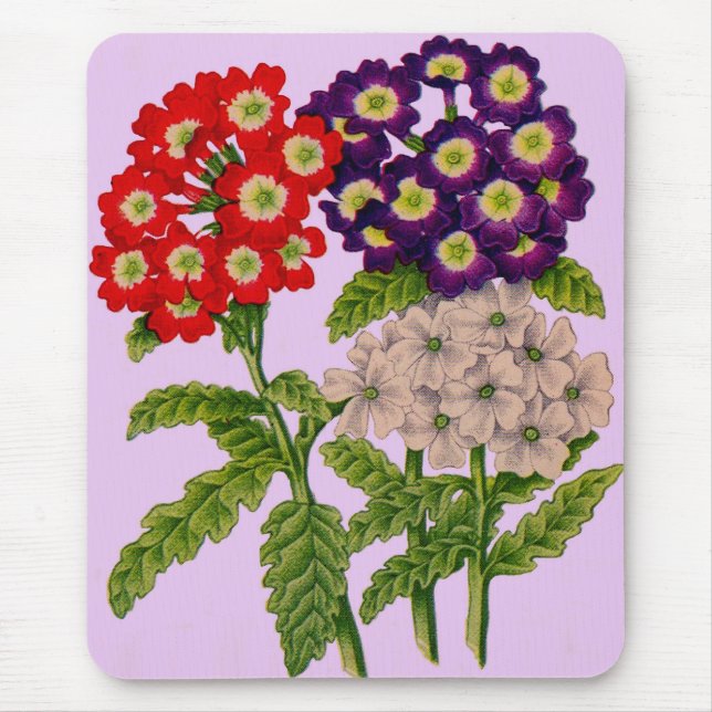 Mousepad verbena flores em vermelho e roxo (Frente)