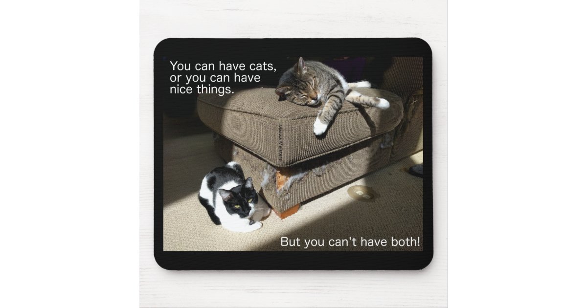 Mousepad Verdade No Tapete Do Rato De Meme Do Gato Do Zazzle Com Br