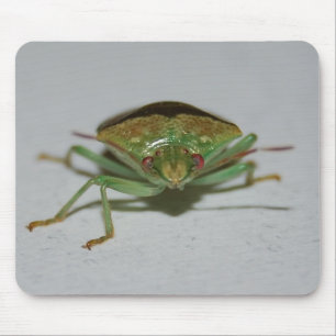 Mousepad verde do inseto do fedor