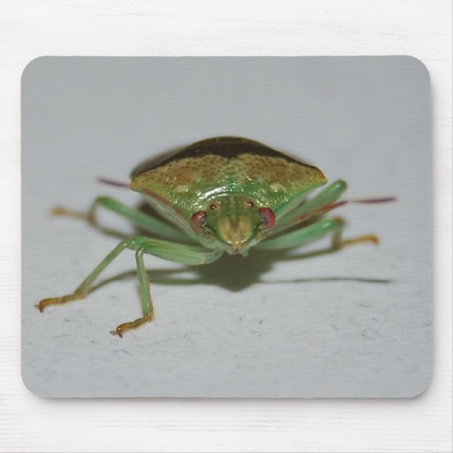 Mousepad verde do inseto do fedor (Frente)