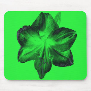 Mousepad Verde Escuro sobre o Amaryllis Verde Claro