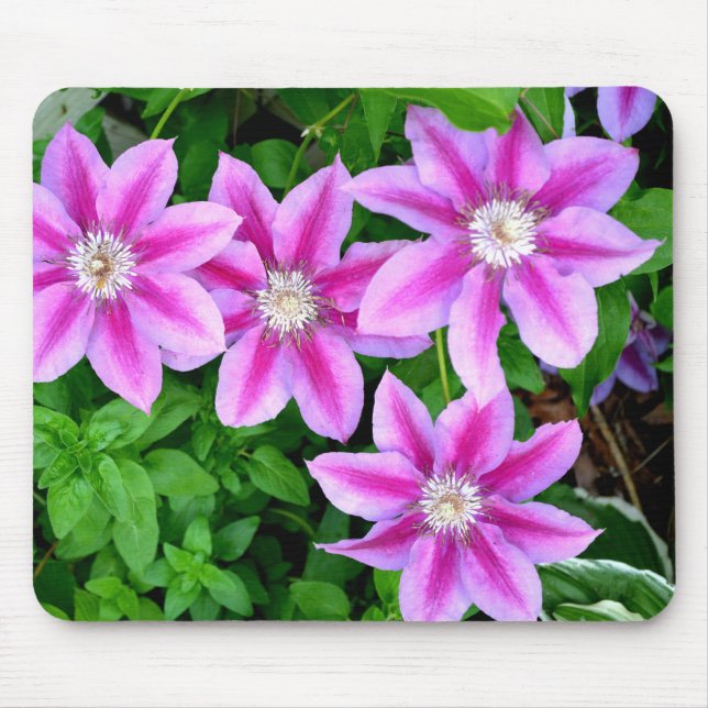 Mousepad Verde-floral, cor-de-rosa, elegante (Frente)