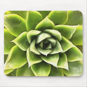 Mousepad Verde Suculta Arte Cactos