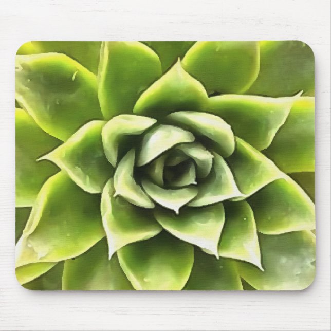 Mousepad Verde Suculta Arte Cactos (Frente)
