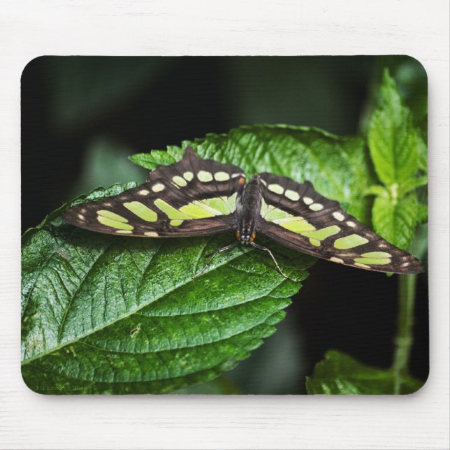 Mousepad Verde Vibrante (Frente)