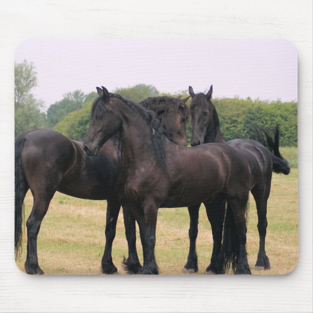 Mousepad Verificando o eachother para fora (Frente)