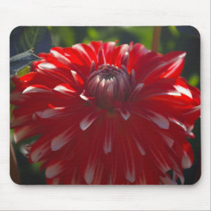 Mousepad vermelho da flor