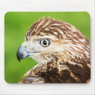 Mousepad Vermelho juvenil falcão atado