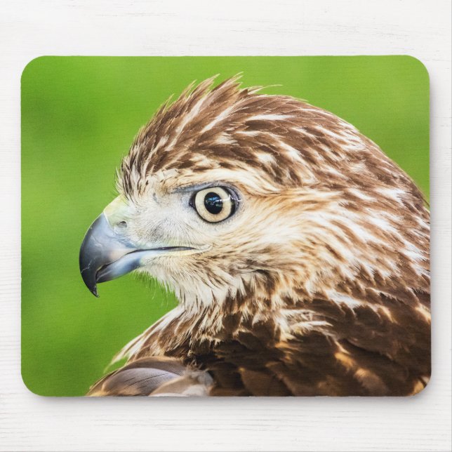 Mousepad Vermelho juvenil falcão atado (Frente)
