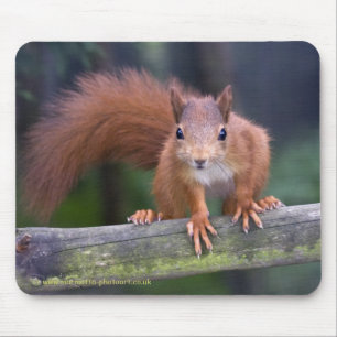 Mousepad Vermelho Mousemat do bebê