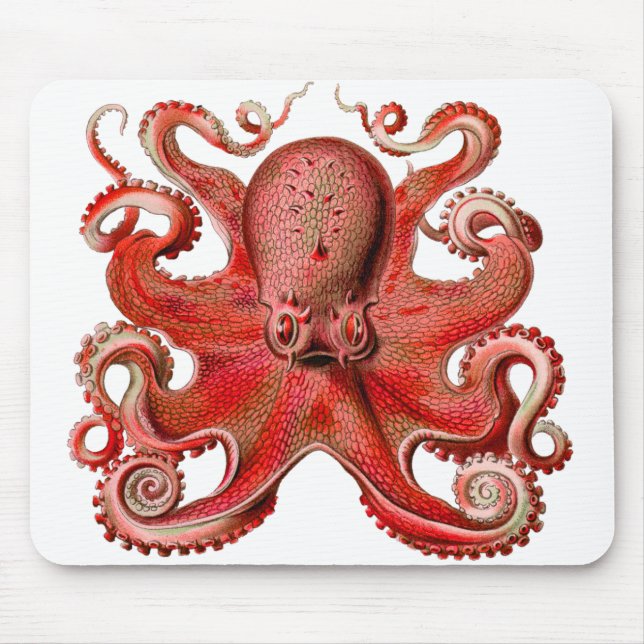 Mousepad Vermelho Octopus Haeckel (Frente)