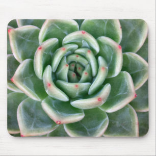 Mousepad Vermelho verde Succulent derrubado