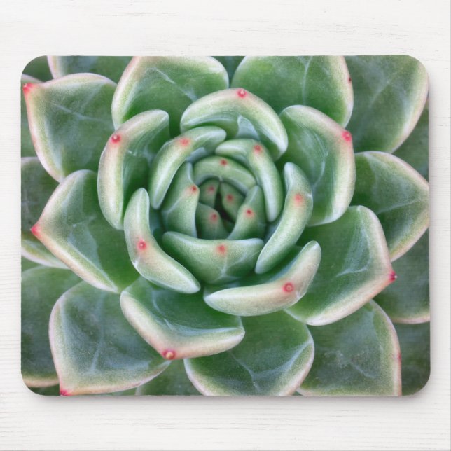 Mousepad Vermelho verde Succulent derrubado (Frente)