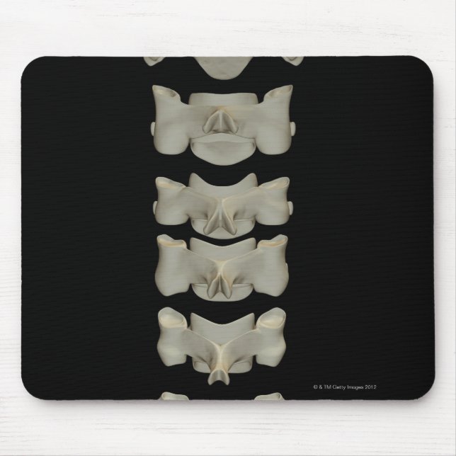 Mousepad Vertebrae Cervical (Frente)