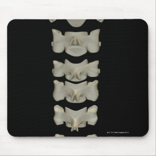 Mousepad Vértebras cervicais