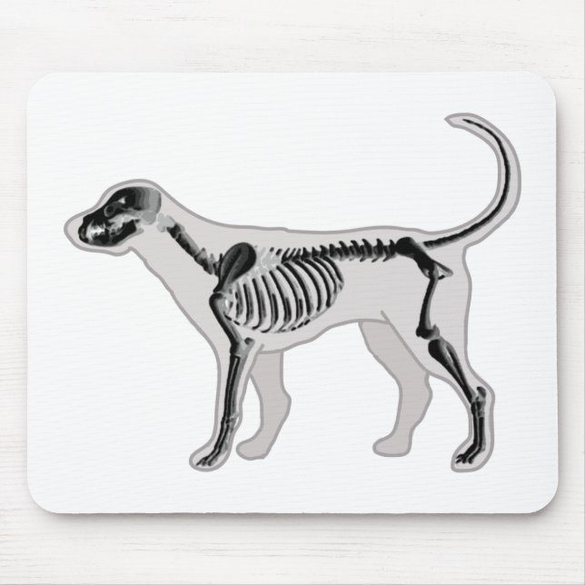MOUSEPAD VETERINÁRIO DO RAIO X DA ANATOMIA DO CÃO (Frente)