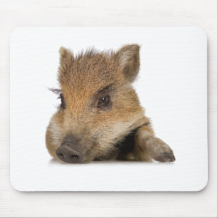 Mousepad vetor de leitão-porco de barriga-pote