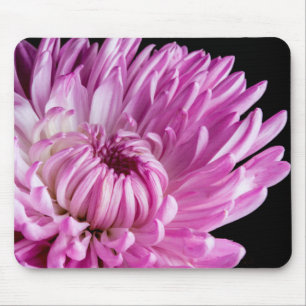Mousepad Vibrante na Dália Rosa