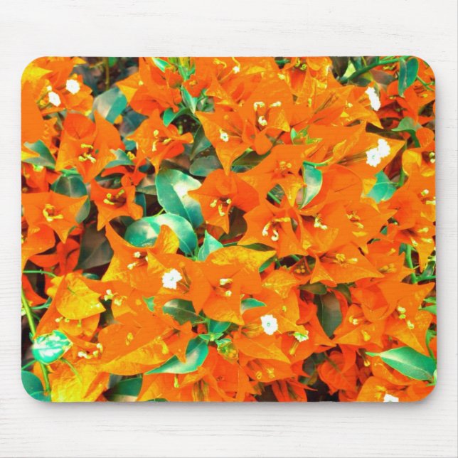 Mousepad Vibrantes Flores de Bougainvillea Laranja (Frente)