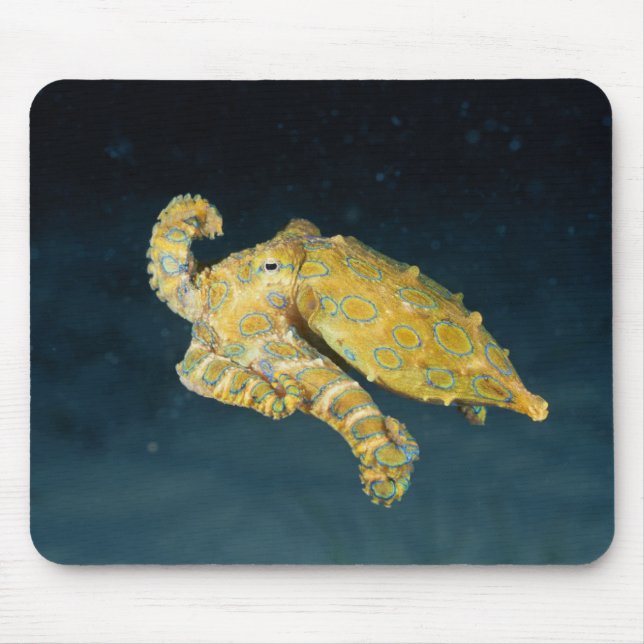 Mousepad Vida marítima - Octopus (Frente)