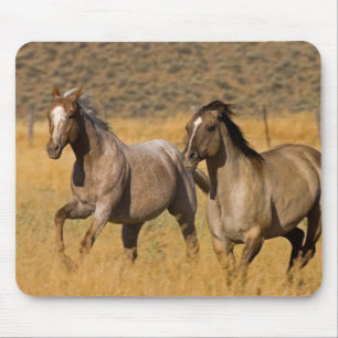 Mousepad Vida no Rancho em The Ponderosa Ranch