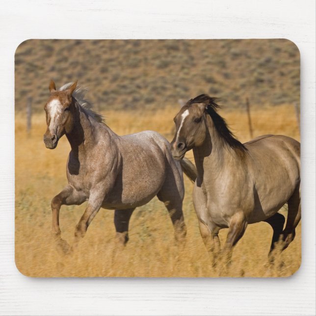 Mousepad Vida no Rancho em The Ponderosa Ranch (Frente)