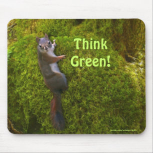Mousepad Vida Selvagem de Esquilo Justo do Dia da Terra