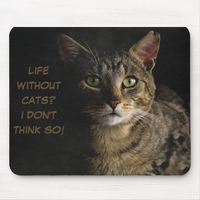 Mousepad Vida sem gatos? Acho que não! Costumar engraçado (Frente)