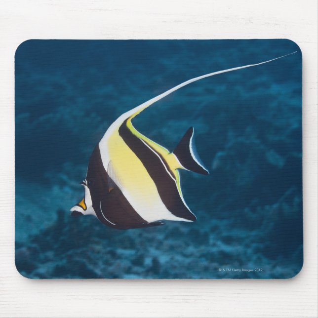 Mousepad Vida submarina;PEIXE: Um Ídolo Mórdico (Zanclus) (Frente)