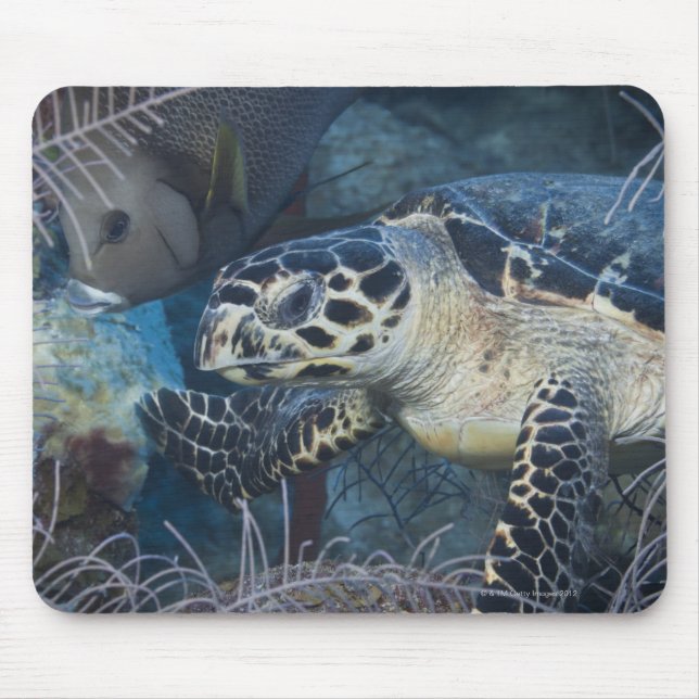 Mousepad Vida Submarina: Uma Tartaruga Marítima Hawksbill (Frente)