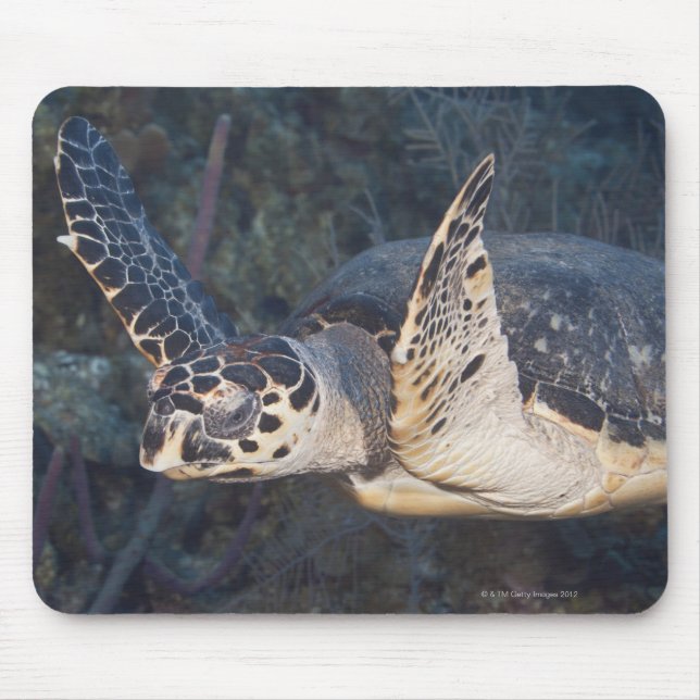 Mousepad Vida Submarina: Uma Tartaruga Marítima Hawksbill 2 (Frente)