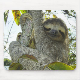 Mousepad Vida viva como uma lama