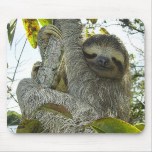 Mousepad Vida viva como uma lama