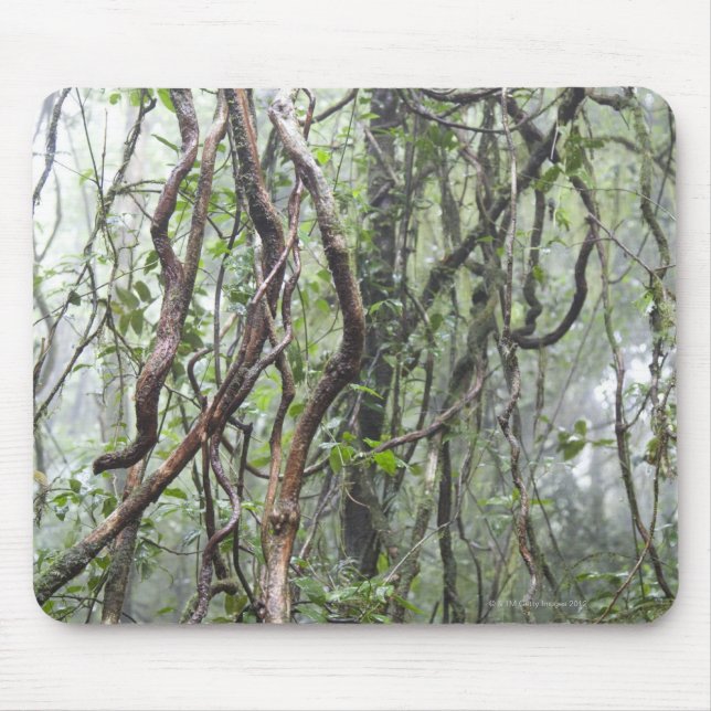 Mousepad videira e ramos torcidos na floresta húmida (Frente)
