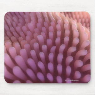 Mousepad Villi intestinais
