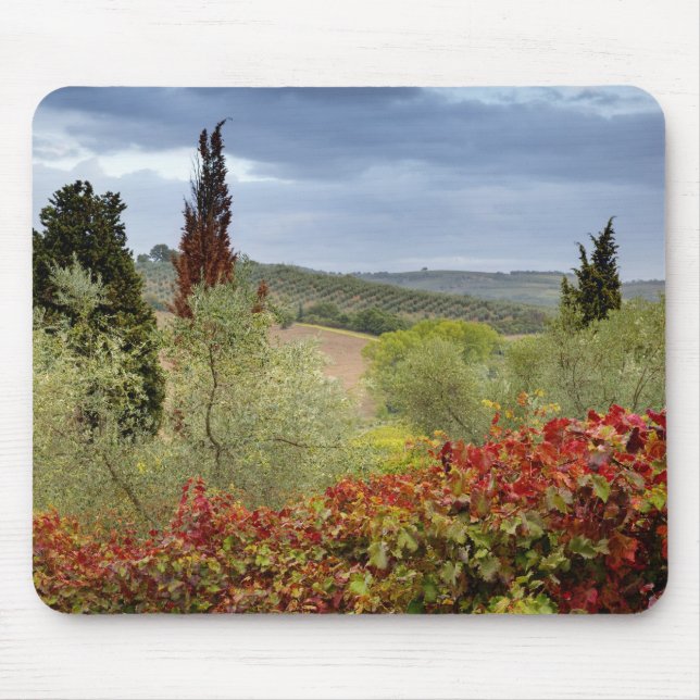 Mousepad Vineyard próximo de Montalcino, Toscana, Itália (Frente)