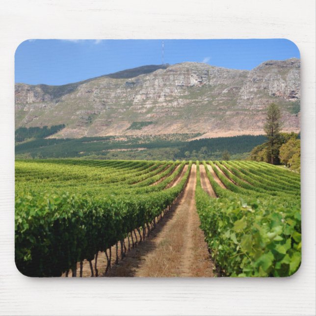 Mousepad Vinhas da Propriedade Vinícola Groot Constantia (Frente)