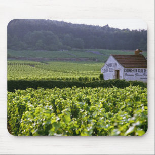 Mousepad vinhedo Chambertin Clos de Beze Grand Cru com