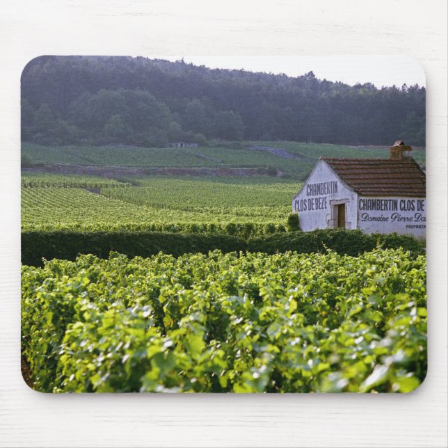 Mousepad vinhedo Chambertin Clos de Beze Grand Cru com (Frente)
