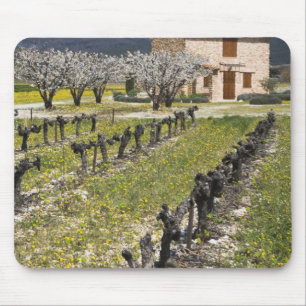 Mousepad Vinhedo dormente, flores de frutas, casa de pedra,