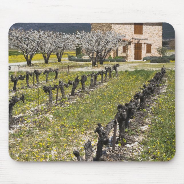 Mousepad Vinhedo dormente, flores de frutas, casa de pedra, (Frente)